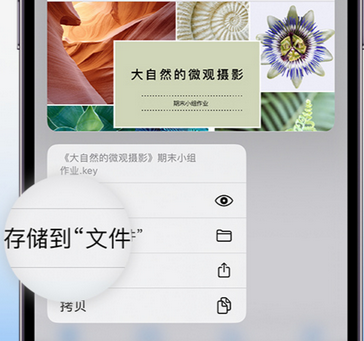 洛江apple维修中心分享iPhone文件应用中存储和找到下载文件