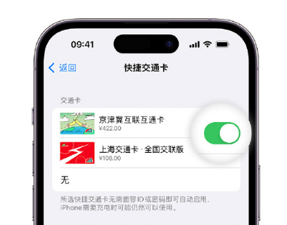 洛江apple维修点分享iPhone上更换Apple Pay快捷交通卡手绘卡面 