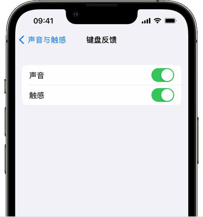 洛江苹果14维修店分享如何在 iPhone 14 机型中使用触感键盘 