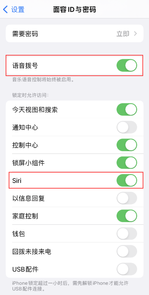 洛江苹果维修网点分享不解锁 iPhone 的情况下通过 Siri 拨打电话的方法 