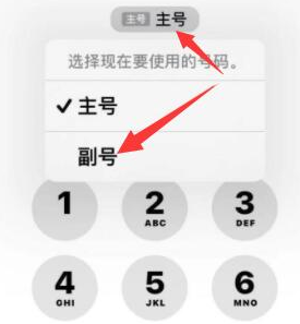 洛江苹果14维修店分享iPhone 14 Pro Max使用副卡打电话的方法 