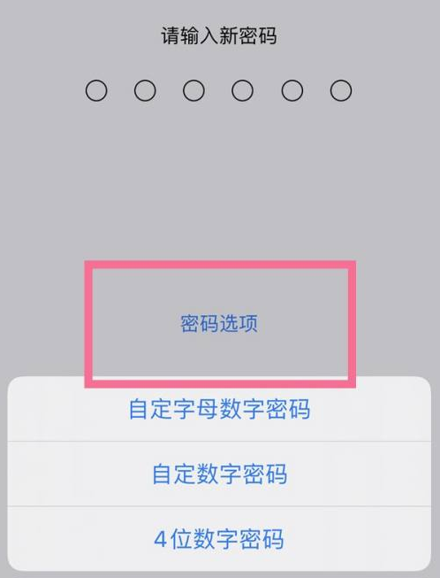 洛江苹果14维修分享iPhone 14plus设置密码的方法 