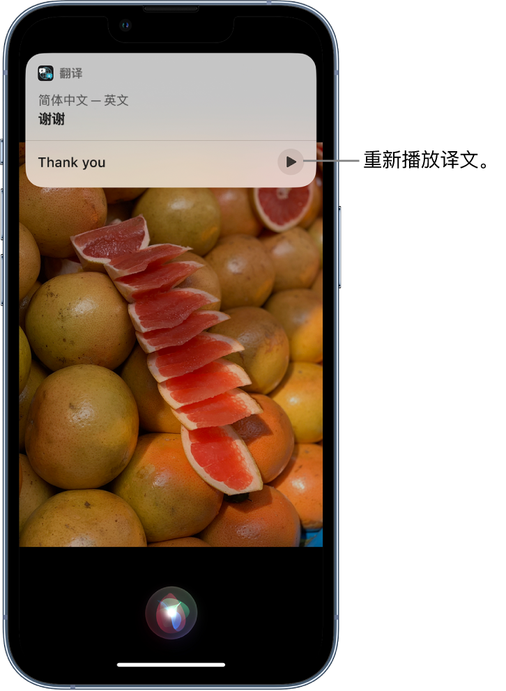 洛江苹果14维修分享 iPhone 14 机型中使用 Siri：了解 Siri 能帮你做什么 