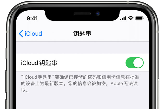 洛江苹果手机维修分享在 iPhone 上开启 iCloud 钥匙串之后会储存哪些信息 