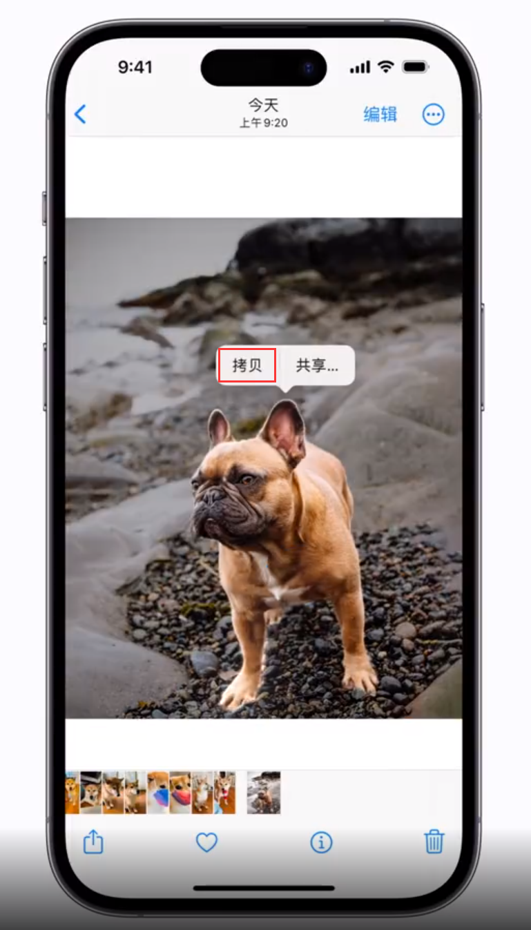 洛江苹果手机维修分享 iOS 16 自带一键抠图功能 