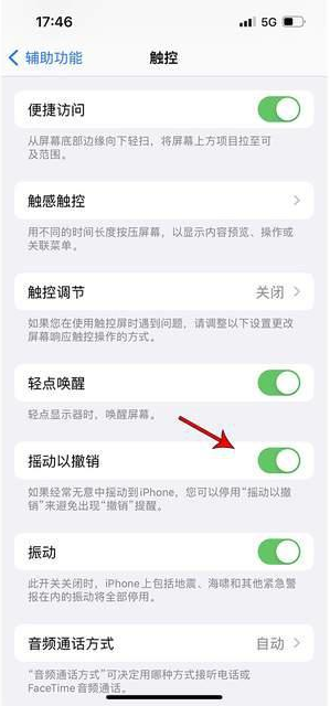 洛江苹果手机维修分享iPhone手机如何设置摇一摇删除文字 