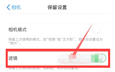 洛江苹果13维修分享iPhone13拍照有绿点是怎么回事 