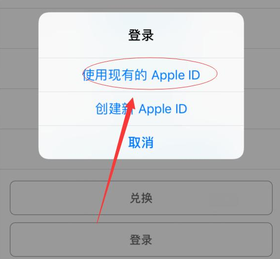 洛江苹果手机维修分享两台iPhone设备可以同时登录一个Apple ID吗 